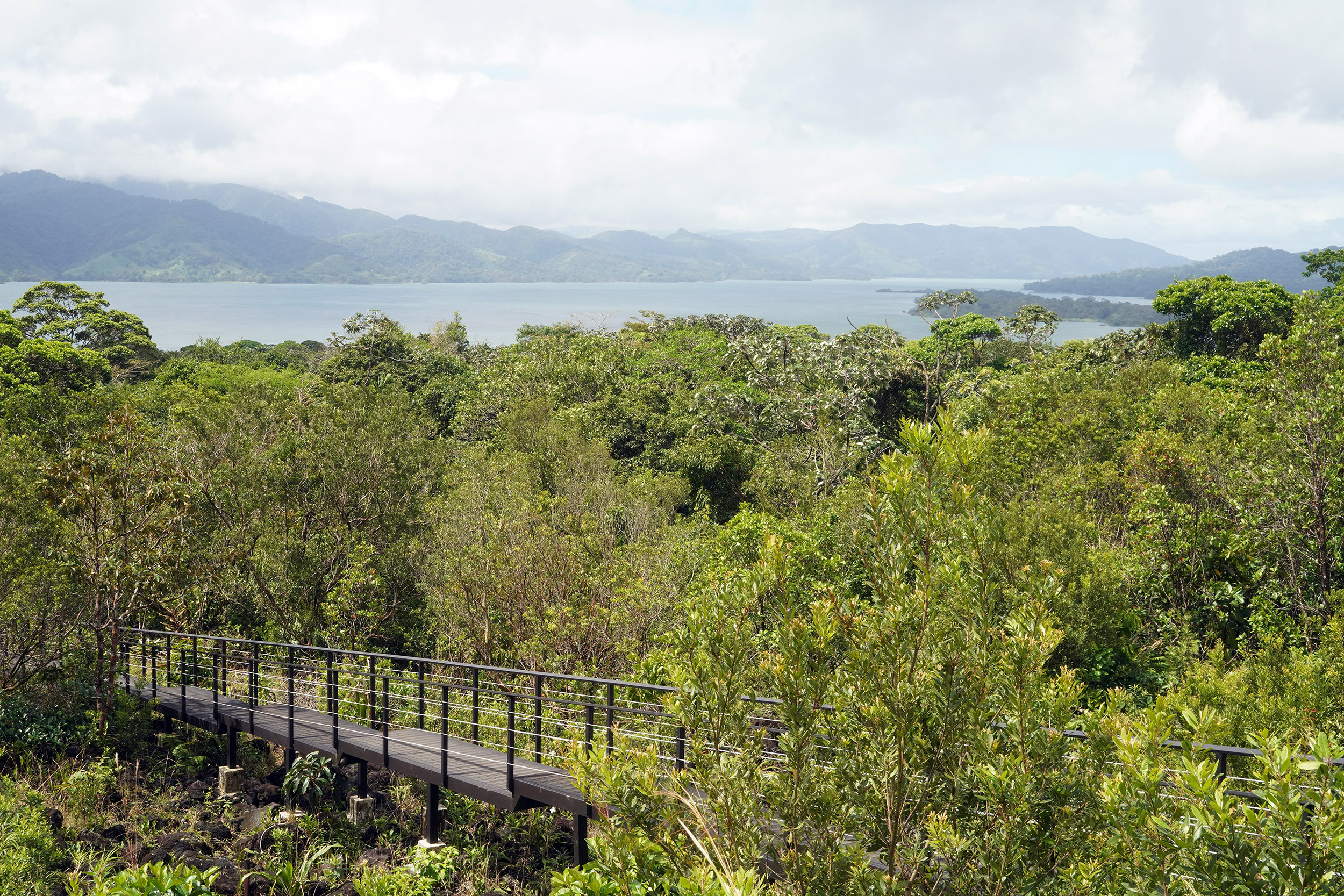 Costa Rica - Février 2025